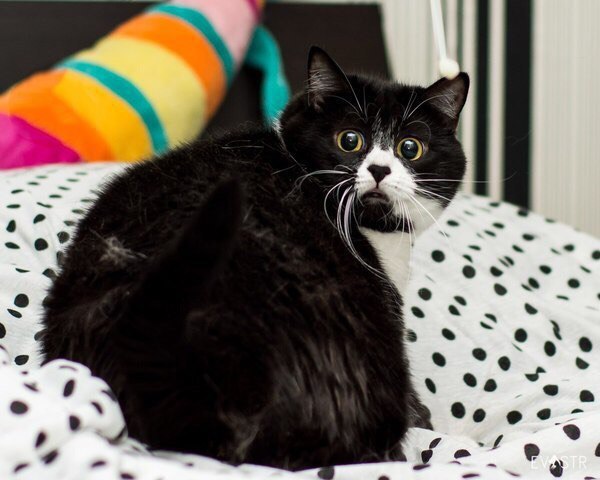 В смысле завтра осень