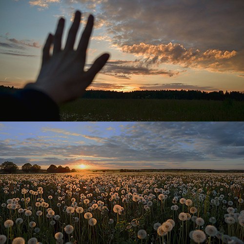 Лето, прощай!