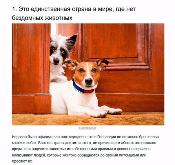 7 доказательств, что Голландия — это страна будущего.