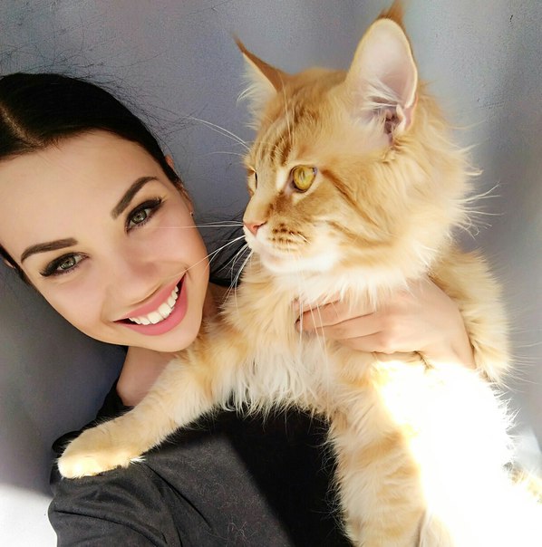 Кто еще мечтает об огромном коте)