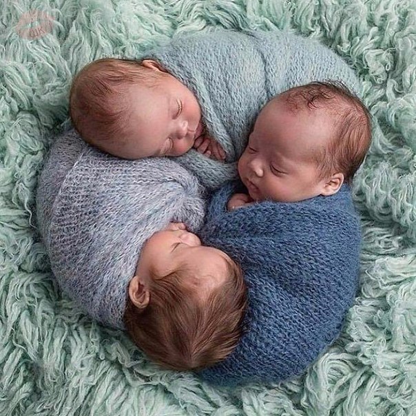 Эти тройняшки покорили просторы интернета 