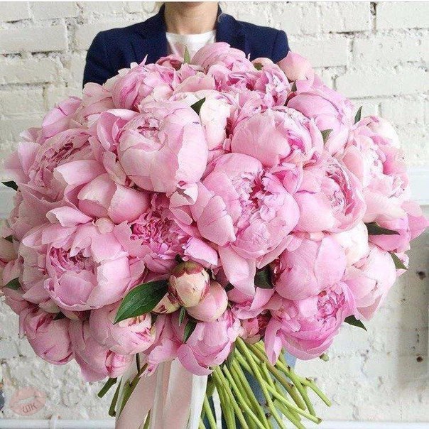 Знаю вы их любите 