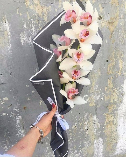 Он нереально красивый!