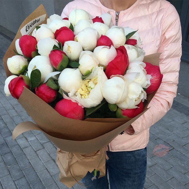 Кто любит пионы 