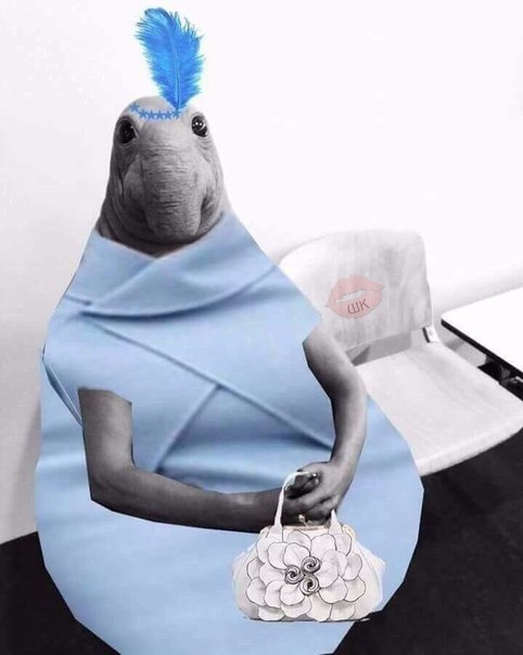 Услышала такую фразу: 