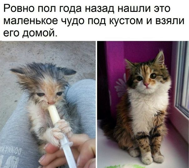 Делайте добро 