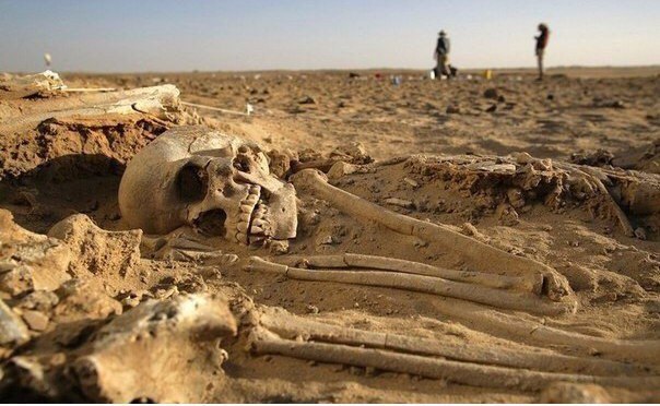 Обидно, когда у скелета возрастом 8000 лет, зубы лучшем, чем у тебя.
