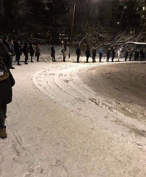 Ожидание на остановке в Швеции. Личное пространство по-скандинавски.