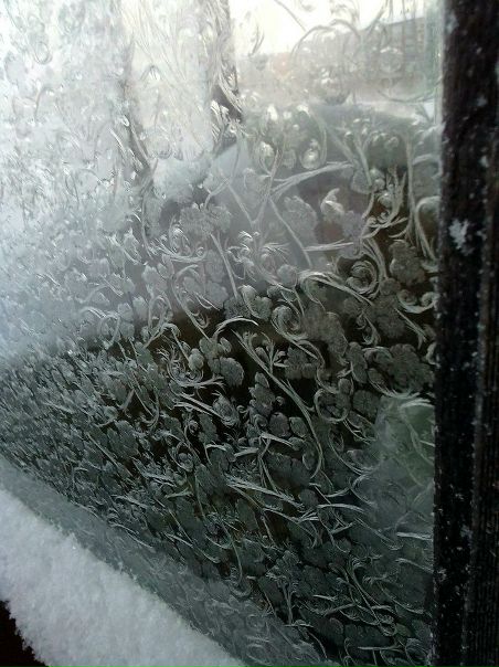 Красивый иней