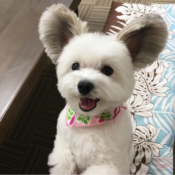 Такой милый 