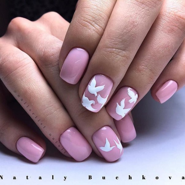 Птички покорили многих