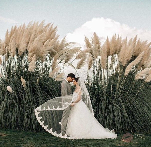 Красивое фото