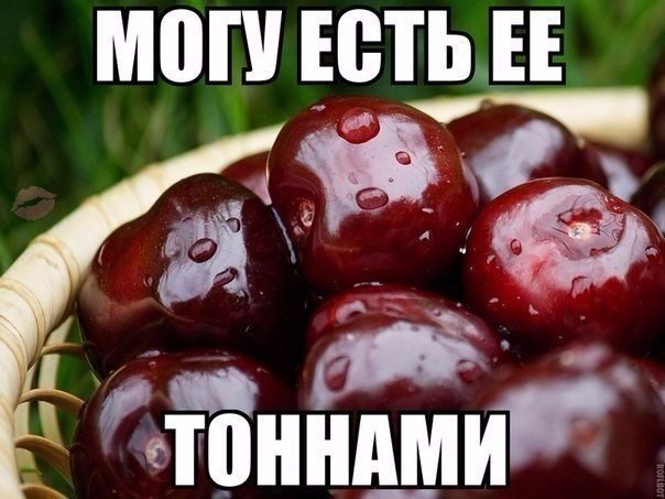 Кто еще любит