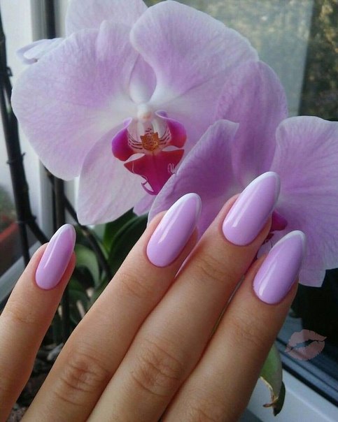 Кто поддержит оттенок 