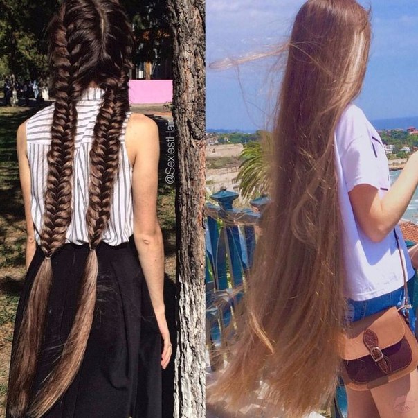 Вот это длина  Кто мечтает о такой