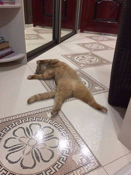 Когда в квартире теплый пол