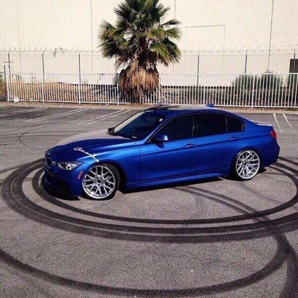 Рождённый летать - ползать не сможет..