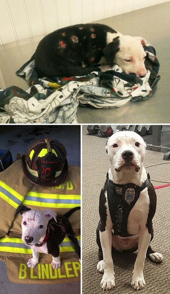 Спасли