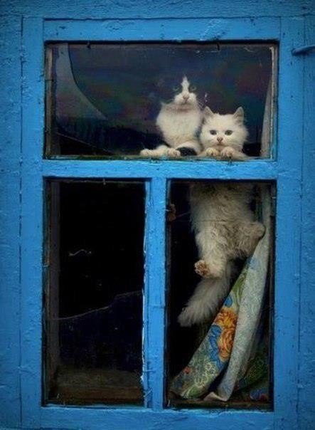 Главное, чтобы дома кто-то ждал 