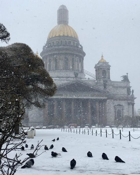 Тем временем в Питере сегодня был типичный апрельский день