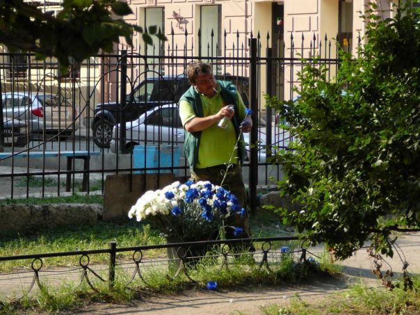 Селекция — дело сложное