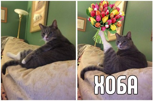 Все мужики сегодня