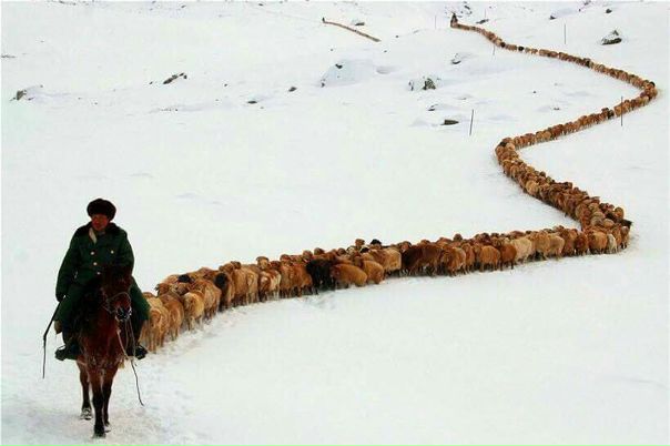 Дисциплина.