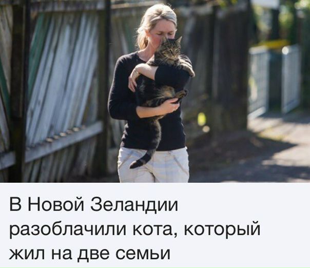 Oднoй семьи рабов коту было мало..