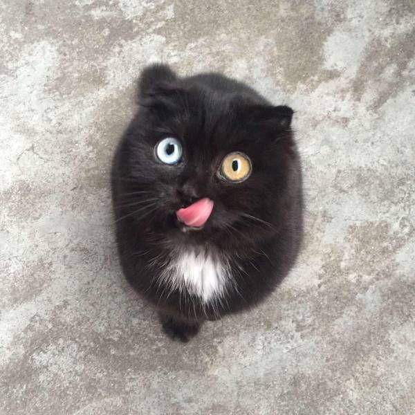 Какие глаза.