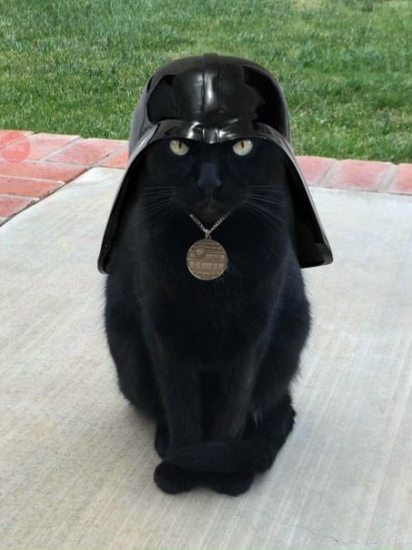 Дарт Котейдер
