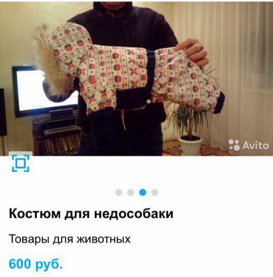 Когда не очень любишь собаку жены