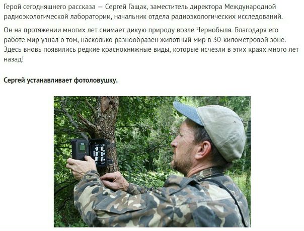 Он установил фотоловушки возле Чернобыля. Камера зафиксировала невероятное!