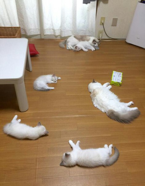 К концу дня сели батарейки