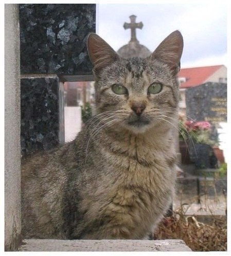 Удачный кадр