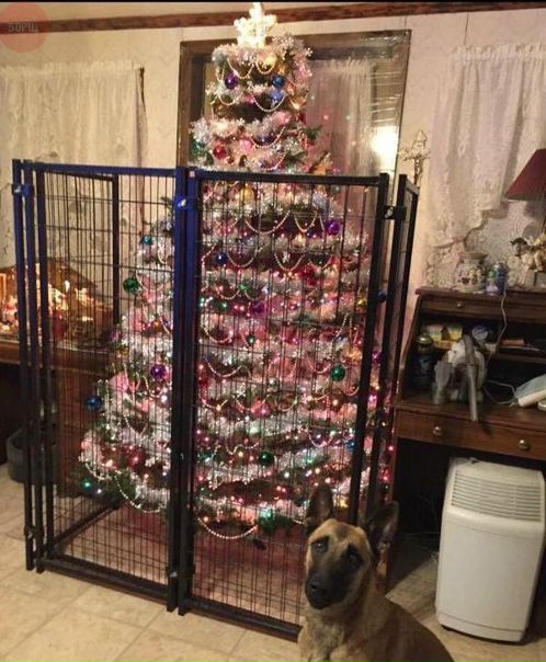 Похоже, кому-то здесь не доверяют