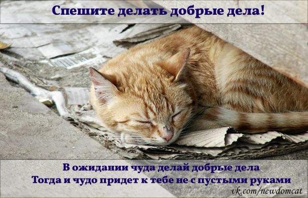 Что сегодня можно купить на 100 рублей 