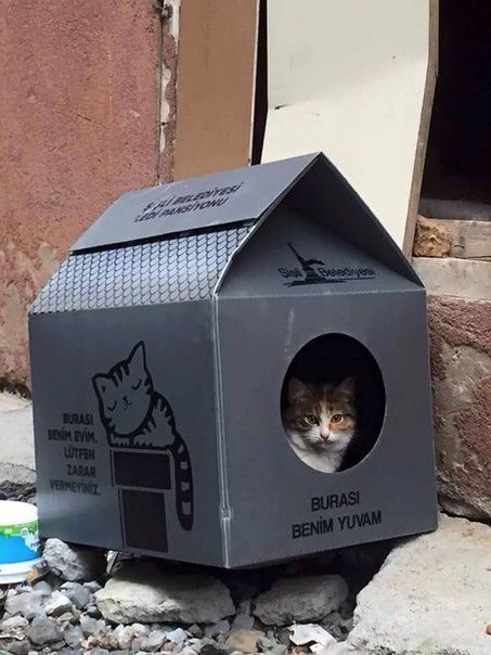 Вот такие домики ставят в Турции бездомным котам. Написано 