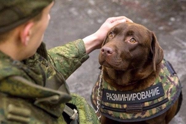 Больше, чем просто фото.