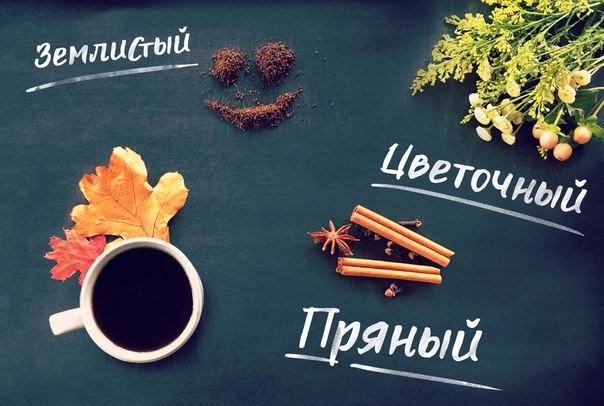 Лишь небольшая часть огромного мира ароматов кофе. Какой ваш любимый
