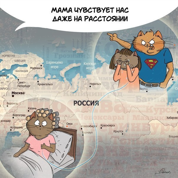 Сегодня День матери. 
