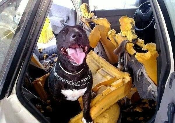 Ты ушел, а я скучал 