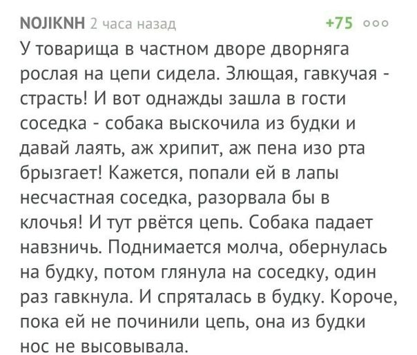 О понтах