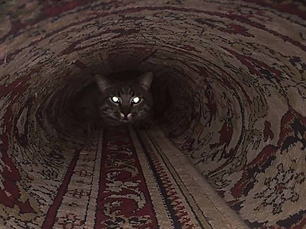 Последний кадр, найденный на фотоаппарате сталкера, пропавшего в московском метро
