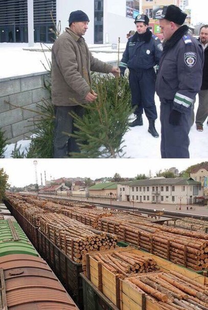 Как действует закон