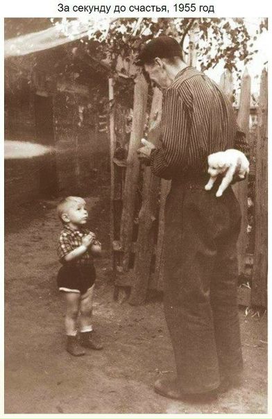 Эти исторические фотографии согреют даже самые ледяные сердца.