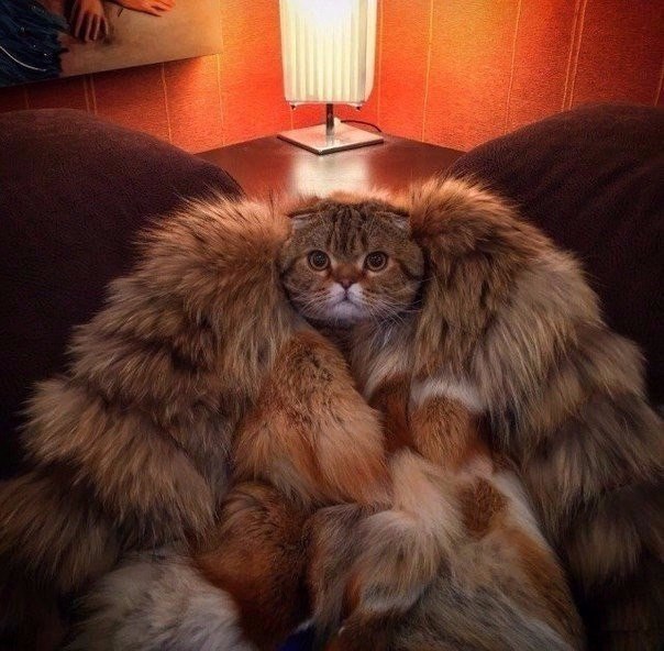 По-царски