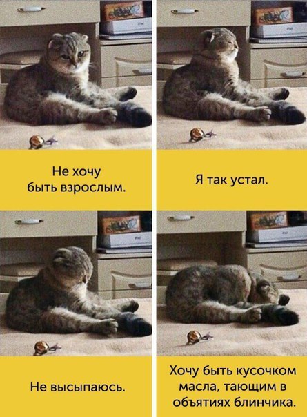 Коротко о моем состоянии: