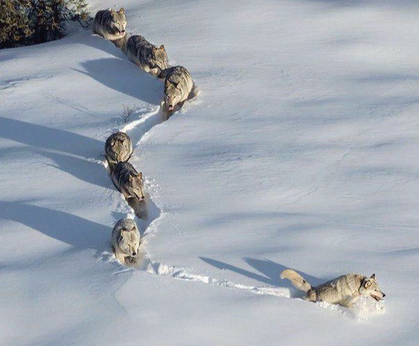 Коротко о том, что значит 