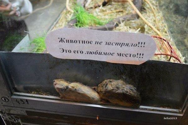 Главное — найти свое место в жизни.
