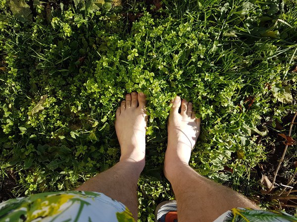 Краснодар. 7 января. На улице+20°C.